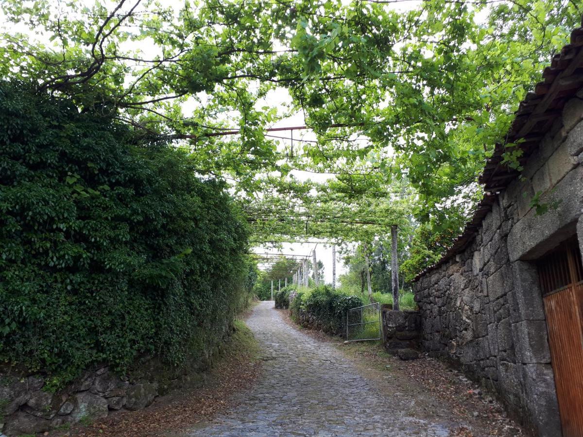 테라스 드 부로 Casa Da Aldeia 빌라 외부 사진